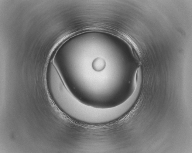 X0000115821138200912041622