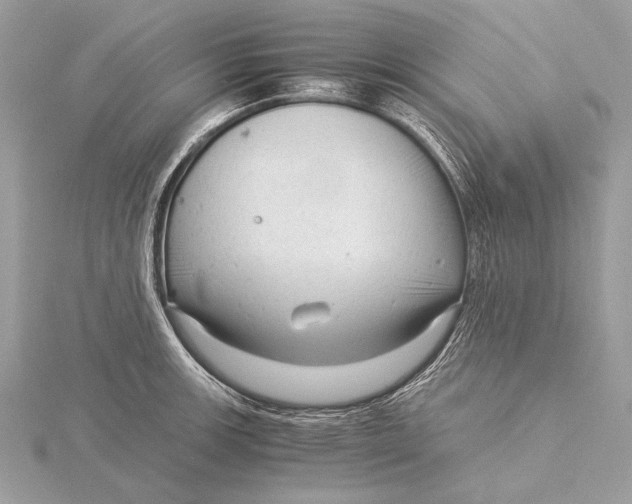 X0000115821139200912041622