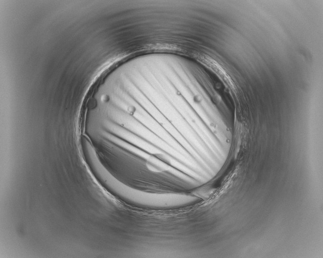 X0000115821141200912041622