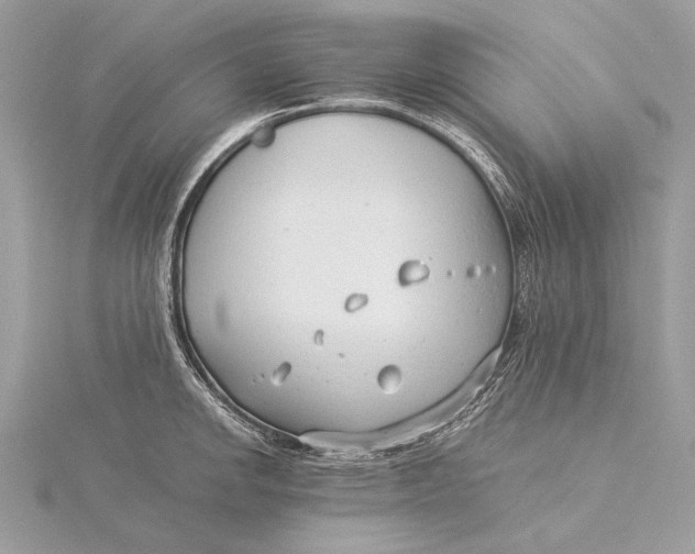 X0000115821142200912041622