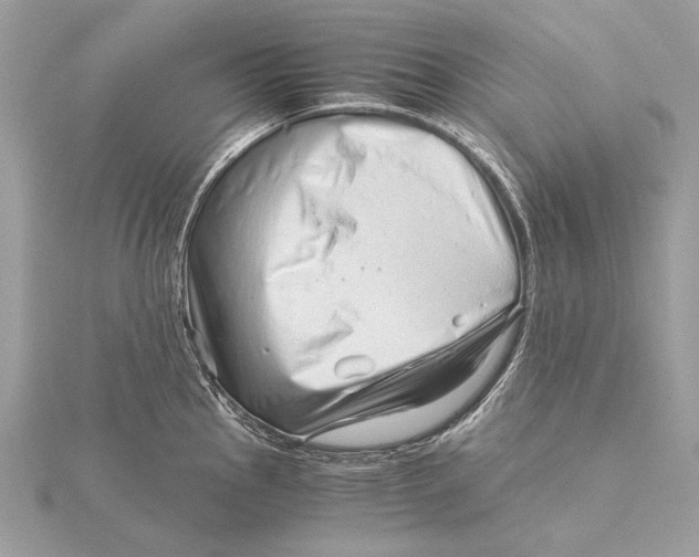 X0000115821145200912041622