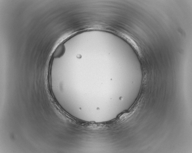 X0000115821146200912041622