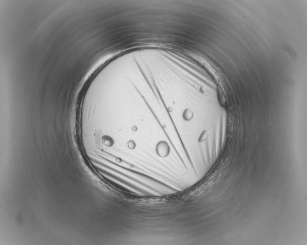 X0000115821147200912041622