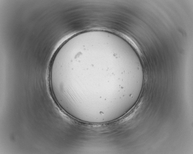 X0000115821149200912041622