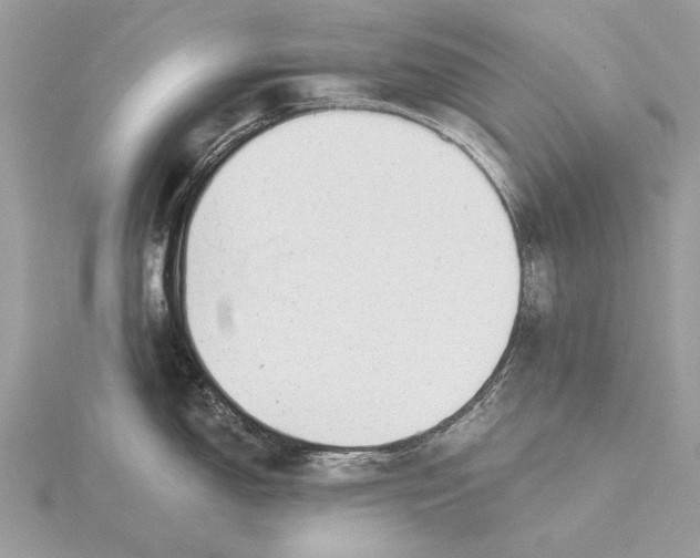 X0000115821150200912041622