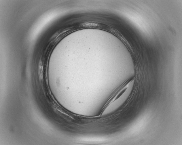 X0000115821151200912041622