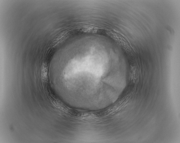 X0000115821154200912041621