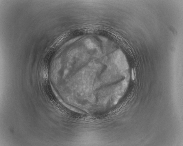 X0000115821155200912041621