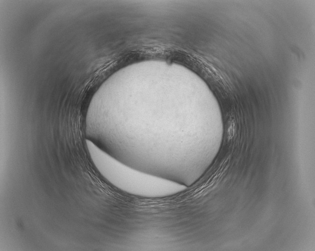 X0000115821156200912041621