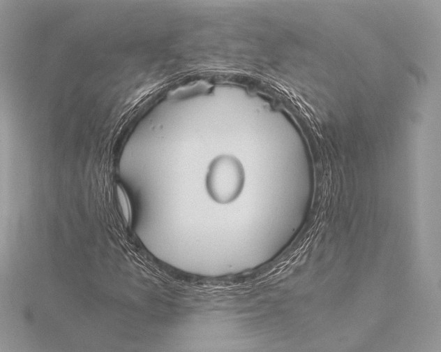 X0000115821157200912041621