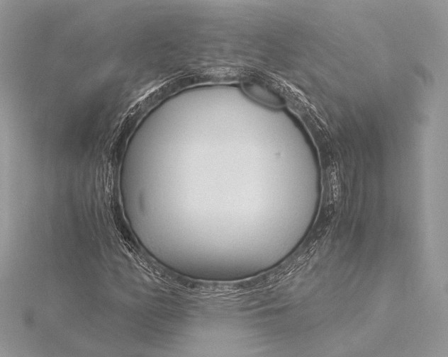 X0000115821158200912041621