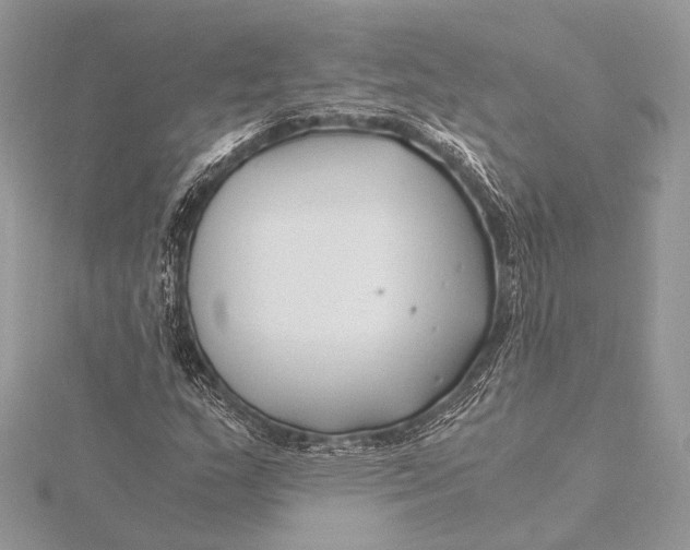 X0000115821159200912041621