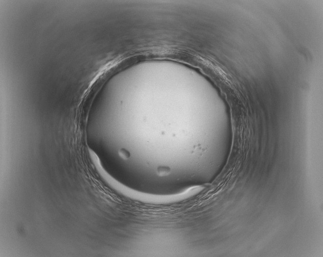 X0000115821160200912041621