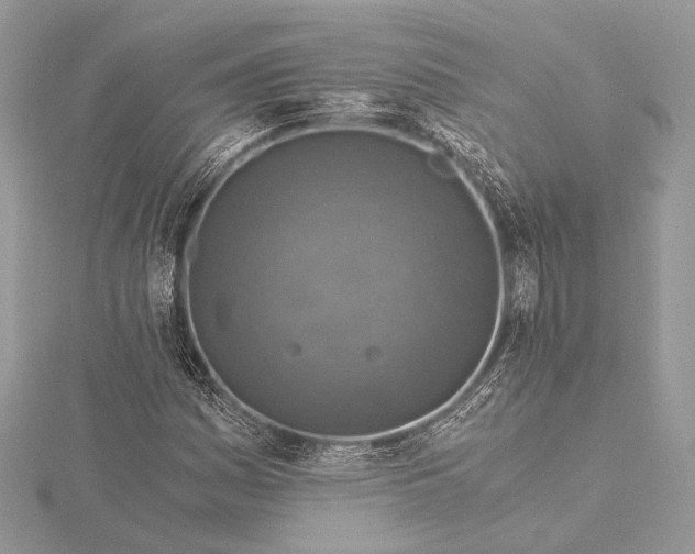 X0000115821161200912041621