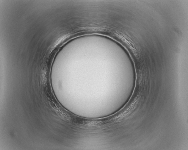 X0000115821163200912041621