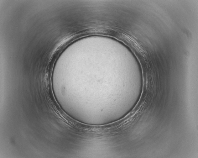 X0000115821164200912041621