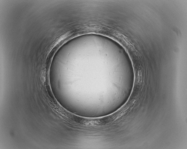 X0000115821165200912041621