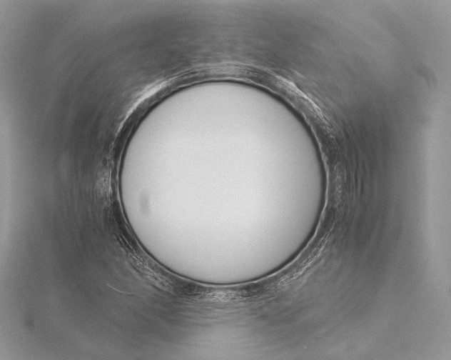 X0000115821166200912041621