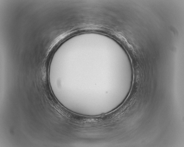 X0000115821167200912041621