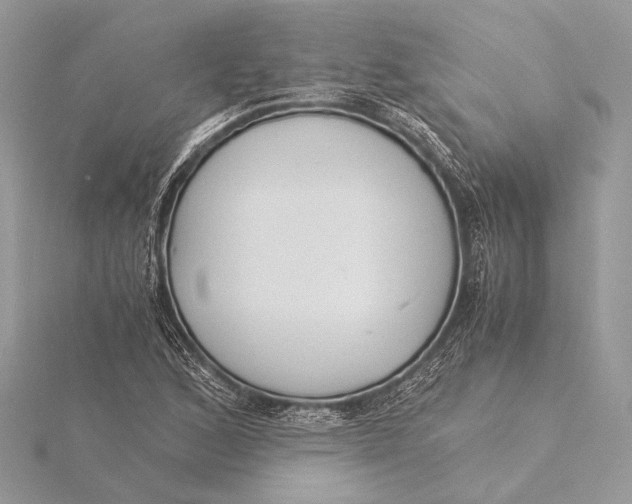 X0000115821168200912041621