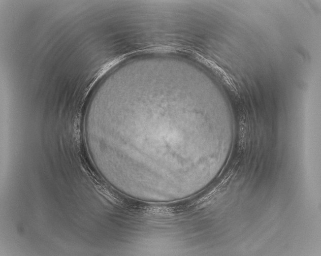 X0000115821170200912041621