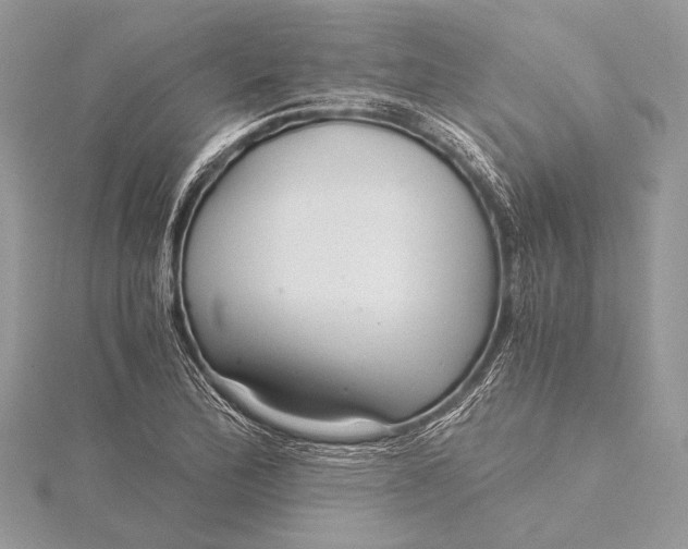 X0000115821172200912041621