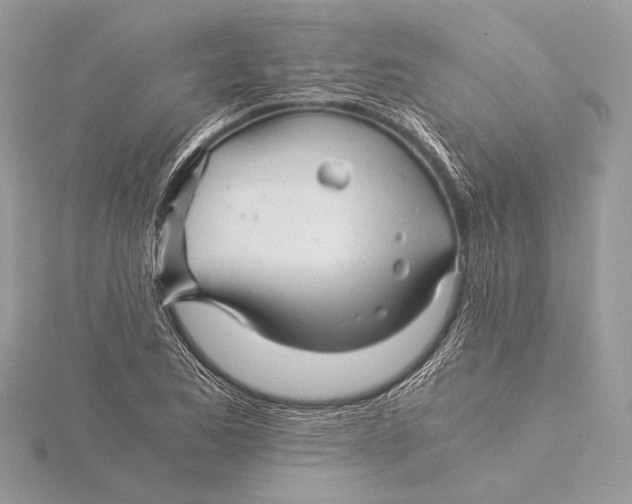 X0000115821173200912041621