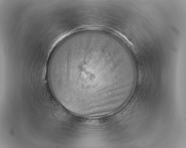 X0000115821174200912041621