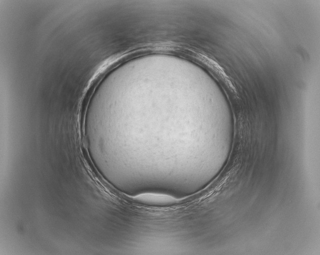 X0000115821176200912041621