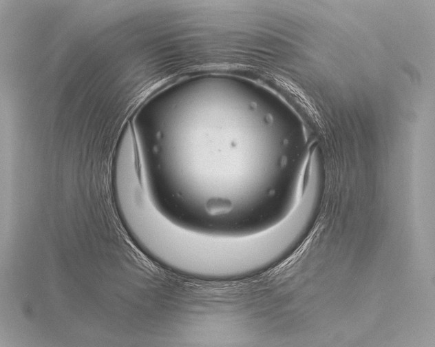 X0000115821177200912041621