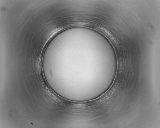 X0000115821178200912041621