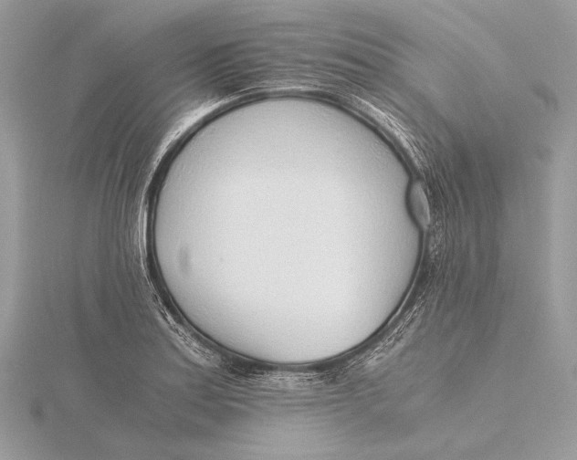 X0000115821179200912041621