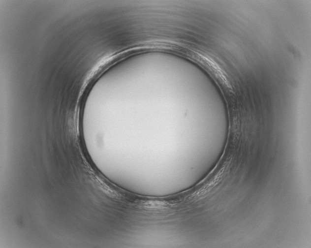 X0000115821180200912041621