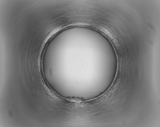 X0000115821181200912041621