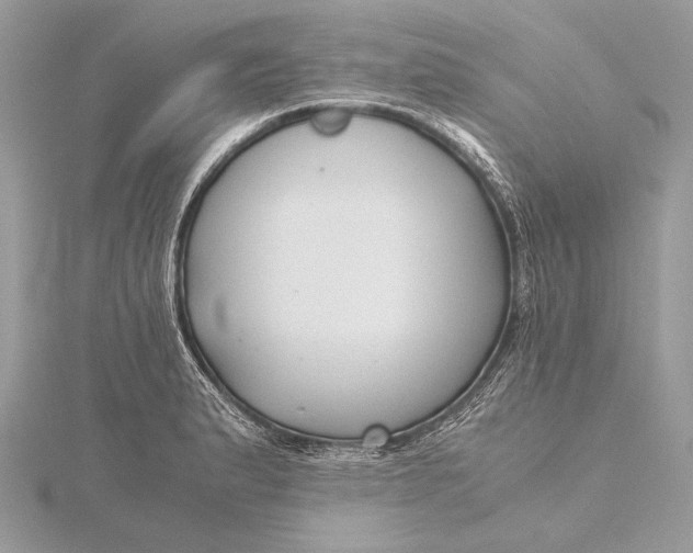 X0000115821183200912041621