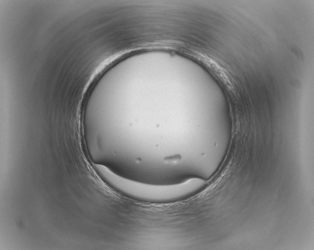 X0000115821184200912041621