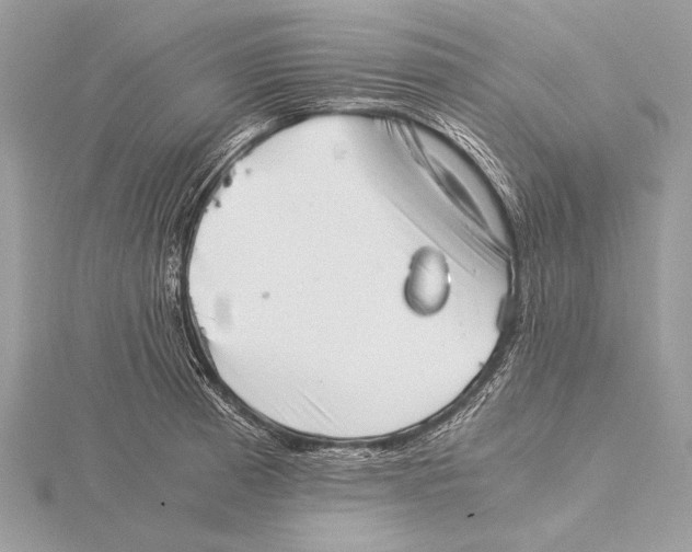 X0000115821185200912041621