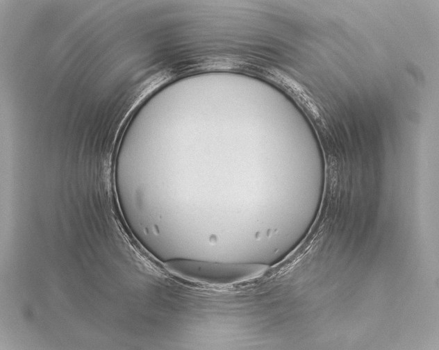 X0000115821186200912041621