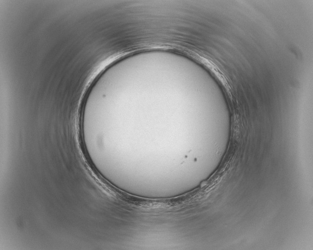 X0000115821187200912041621