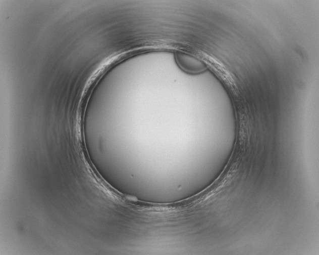 X0000115821188200912041621