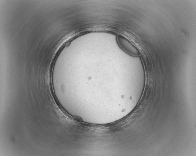 X0000115821189200912041621