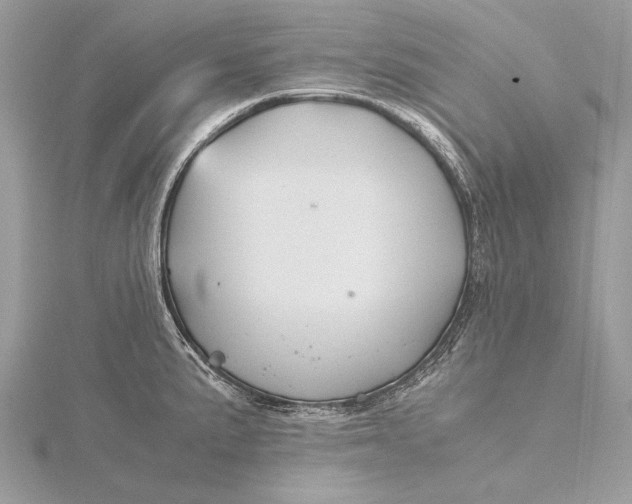 X0000115821191200912041621