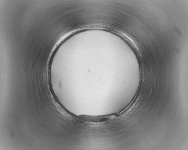 X0000115821192200912041621