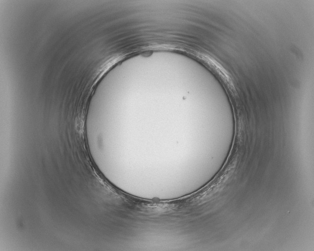 X0000115821193200912041621