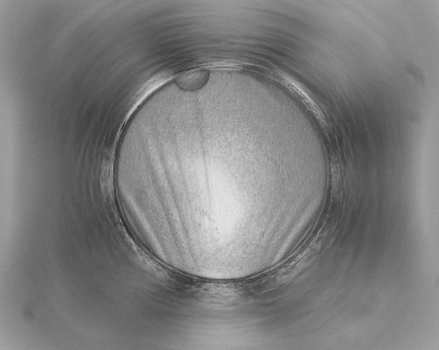 X0000115821194200912041621