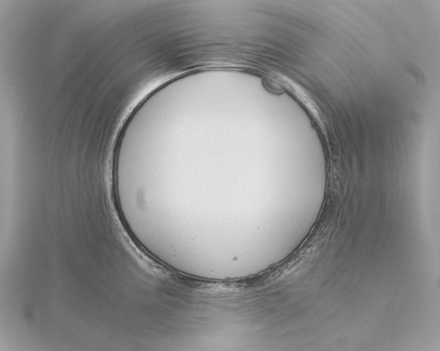 X0000115821195200912041621