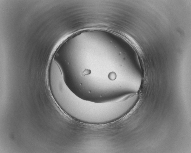 X0000115821196200912041621