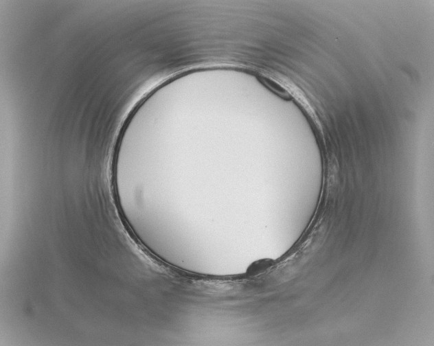 X0000115821197200912041621