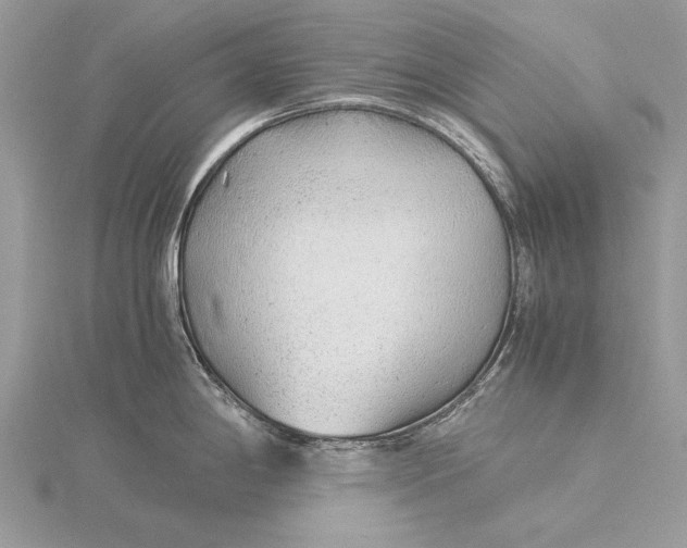 X0000115821198200912041621