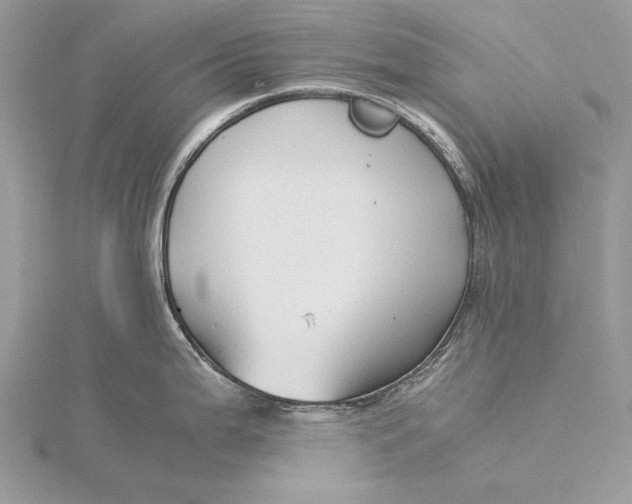 X0000115821199200912041621